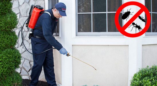 Biga Kemirgen İlaçlama böcek ilaçlama ve haşere kontrolü — ilaclama-tr.com